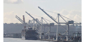 Industry Reacts to Lower Tariffs on Chinese Goods